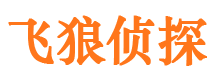 仙游飞狼私家侦探公司